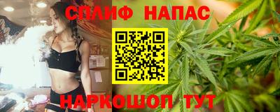стафф Ставрополь