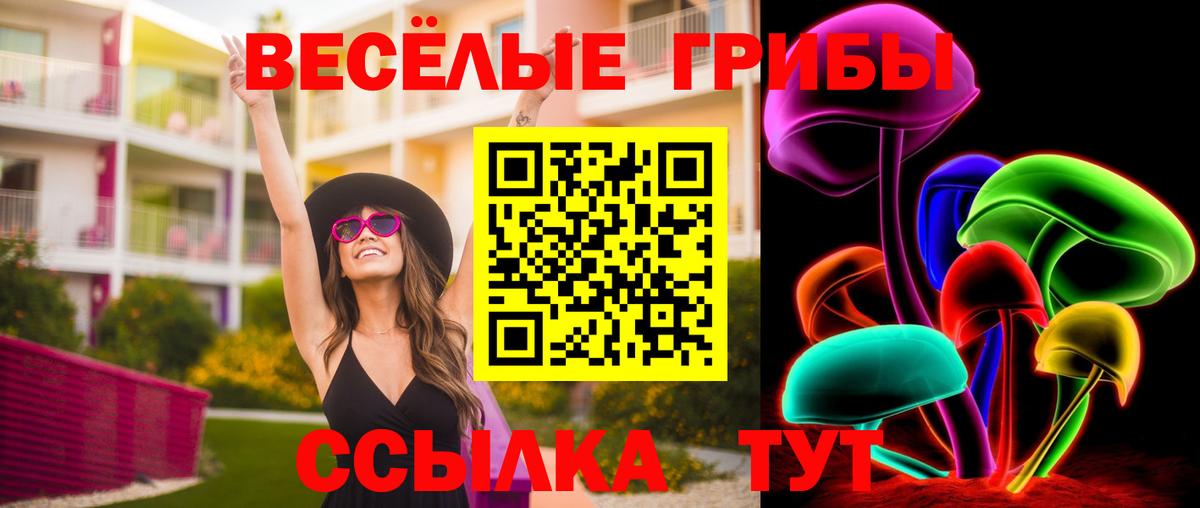 Галлюциногенные грибы Psilocybine cubensis Новоуральск
